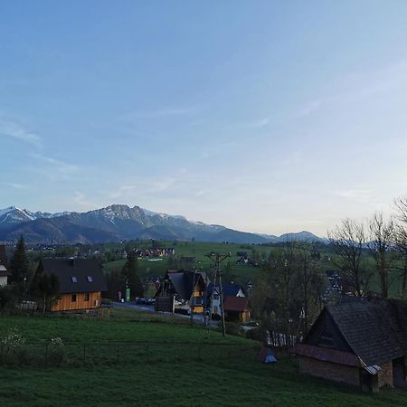 Czarny Jelen Apartment Zakopane Exterior photo