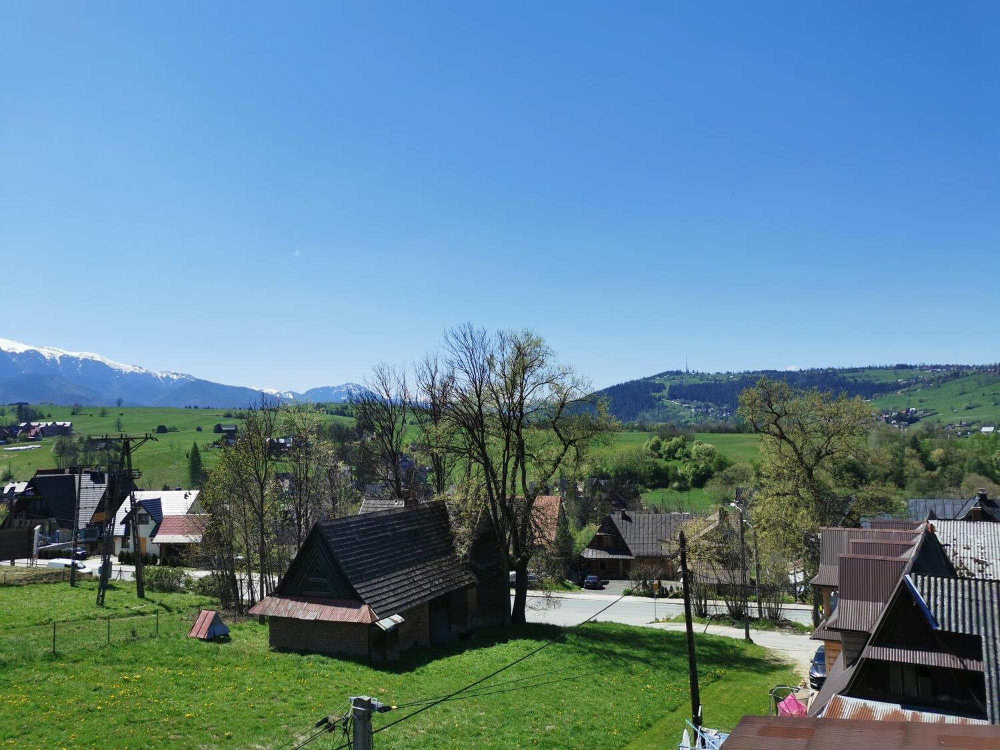 Czarny Jelen Apartment Zakopane Exterior photo